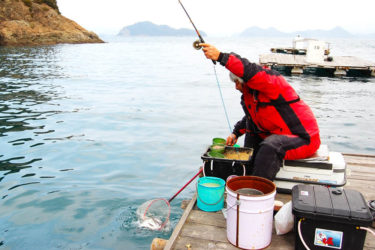 チヌ釣りｑ ａ かかり釣り 場荒れさせないための工夫は 関西のつりweb 釣りの総合情報メディアmeme