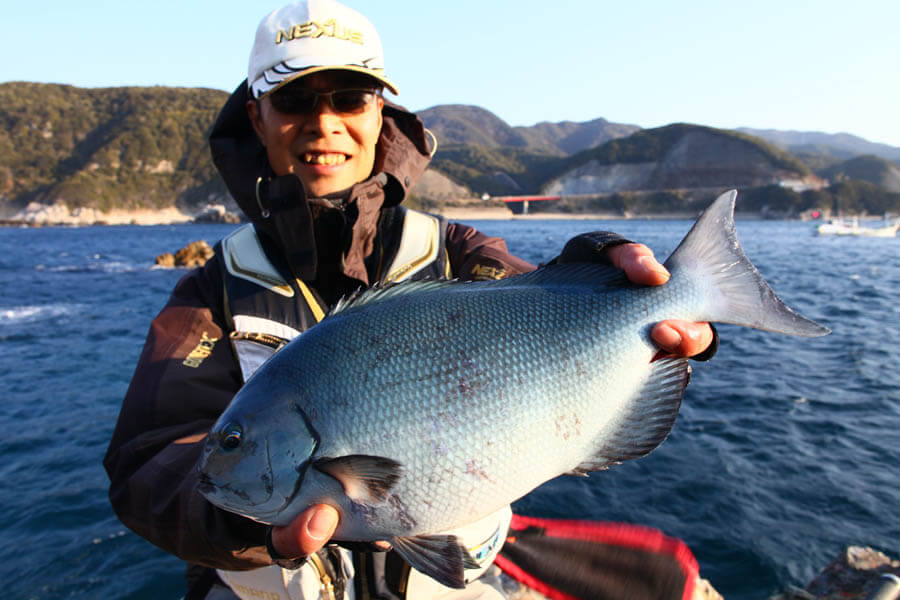 桑原英高のグレ釣り一直線 尾長グレ追求編 Vol 7 春の食い渋り対策 関西のつりweb 釣りの総合情報メディアmeme