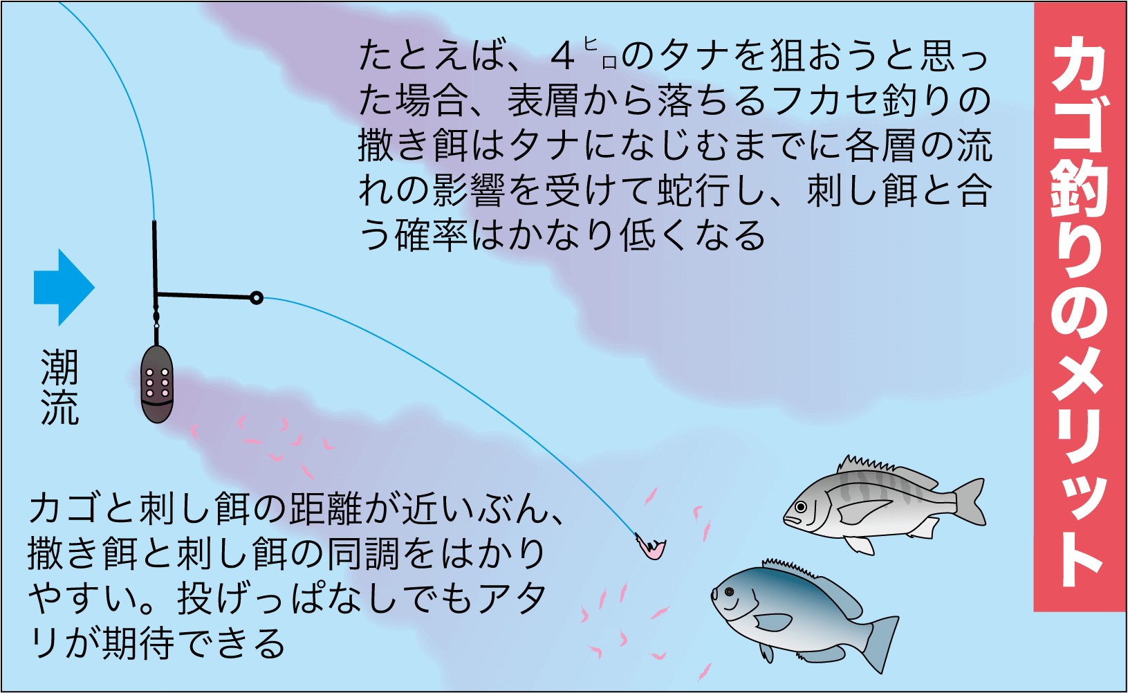 カゴ釣り】初心者もＯＫ!! 大型チヌ・マダイ＋αに迫る遠投システム