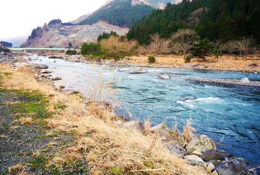 渓流釣り アマゴ ヤマメ 気軽に行ける渓流で始動 滋賀県 安曇川水系 葛川 兵庫県 矢田川水系 山田川 関西のつりweb 釣りの総合情報メディアmeme