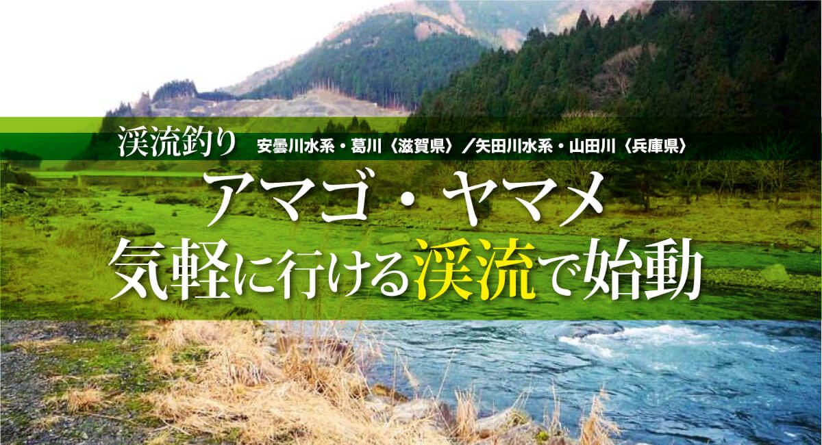 渓流釣り アマゴ ヤマメ 気軽に行ける渓流で始動 滋賀県 安曇川水系 葛川 兵庫県 矢田川水系 山田川 関西のつりweb 釣り の総合情報メディアmeme