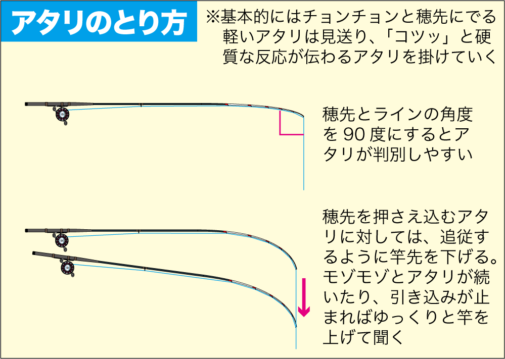 チヌ釣りｑ ａ かかり釣り 他魚のアタリと区別する方法は 関西のつりweb 釣りの総合情報メディアmeme