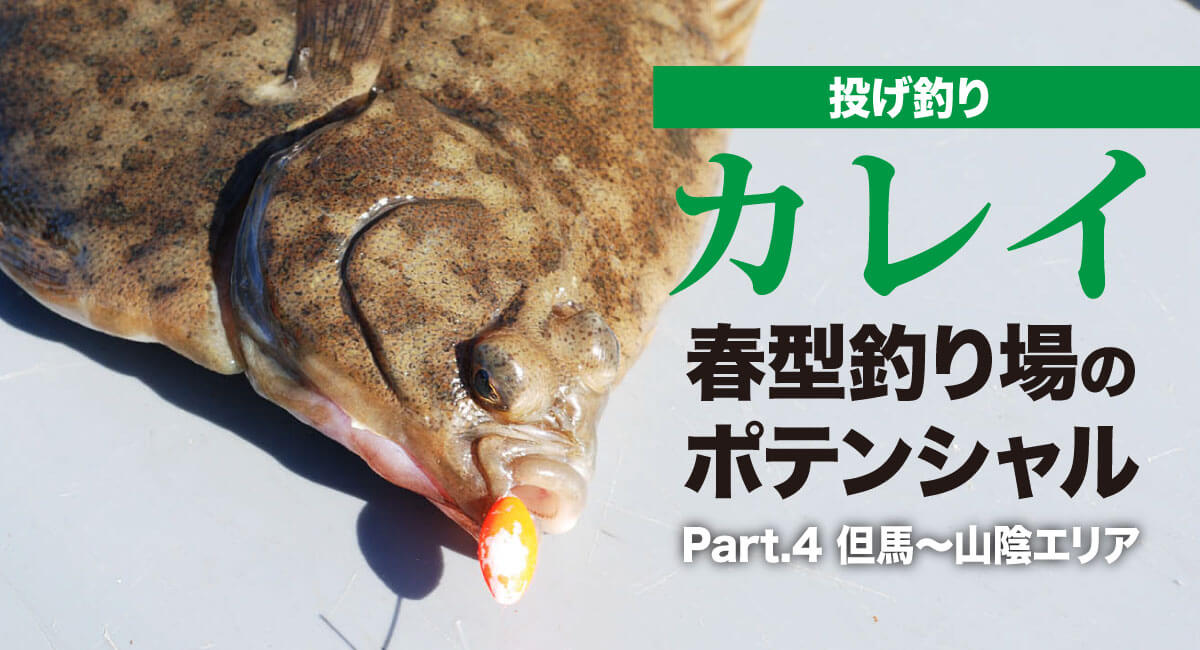 投げ釣り カレイ 春型釣り場のポテンシャル Part 4 但馬 山陰エリア 関西のつりweb 釣りの総合情報メディアmeme