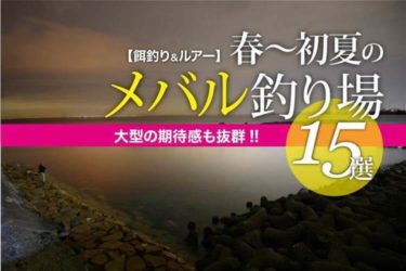 大型の期待感も抜群 春 初夏のメバル釣り場15選 関西のつりweb 釣りの総合情報メディアmeme