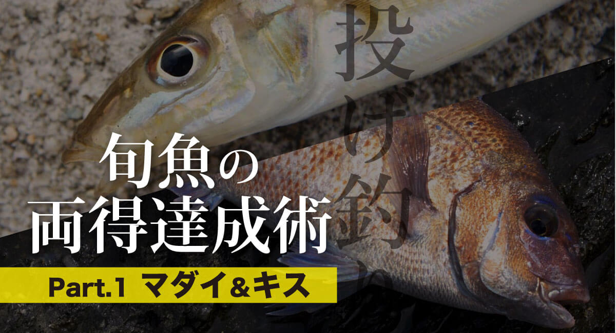 投げ釣り】旬魚の両得達成術 Part.1 マダイ&キス 関西のつりweb