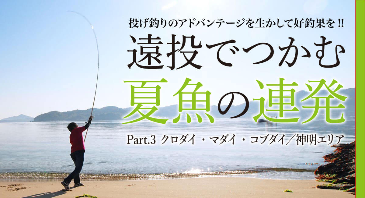 投げ釣り 遠投でつかむ夏魚の連発 Part 3 クロダイ マダイ コブダイ 神明エリア 関西のつりweb 釣りの総合情報メディアmeme