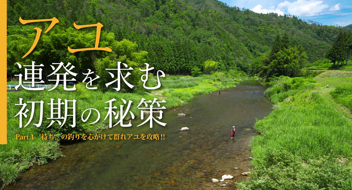 アユ 連発を求む初期の秘訣 Part 1 待ち の釣りを心がけて 群れアユを攻略 関西のつりweb 釣りの総合情報メディアmeme