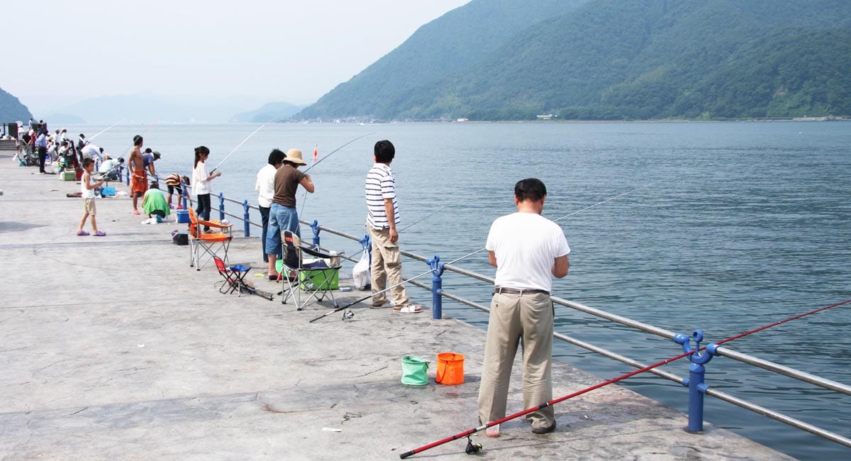 釣り公園ガイド 舞鶴親海公園 関西のつりweb 釣りの総合情報メディアMeME