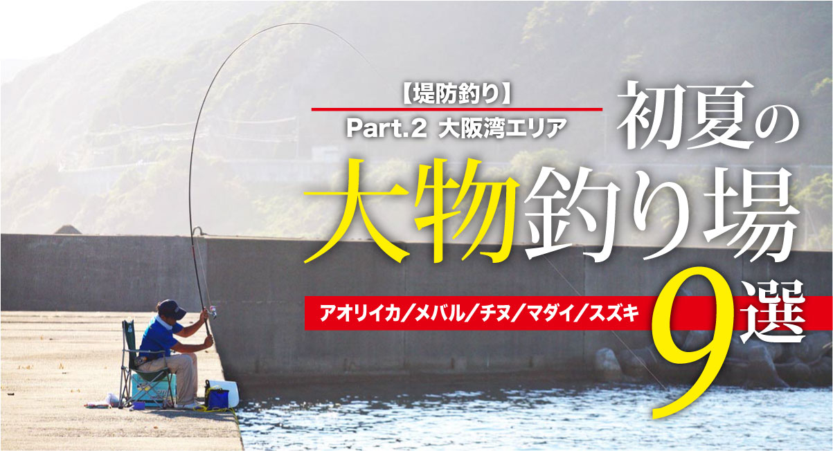 堤防釣り 保存版 初夏の大物釣り場９選 大阪湾編 関西のつりweb 釣りの総合情報メディアmeme