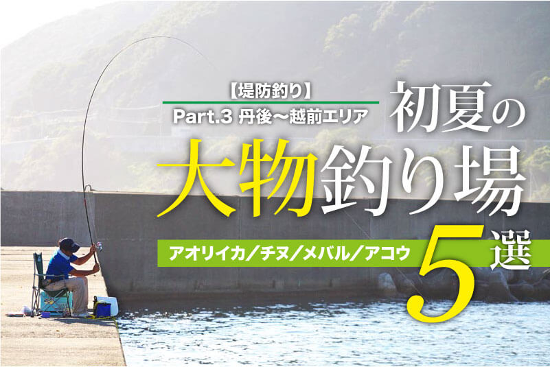 堤防釣り 保存版 初夏の大物釣り場５選 丹後 若狭 越前編 関西のつりweb 釣りの総合情報メディアmeme