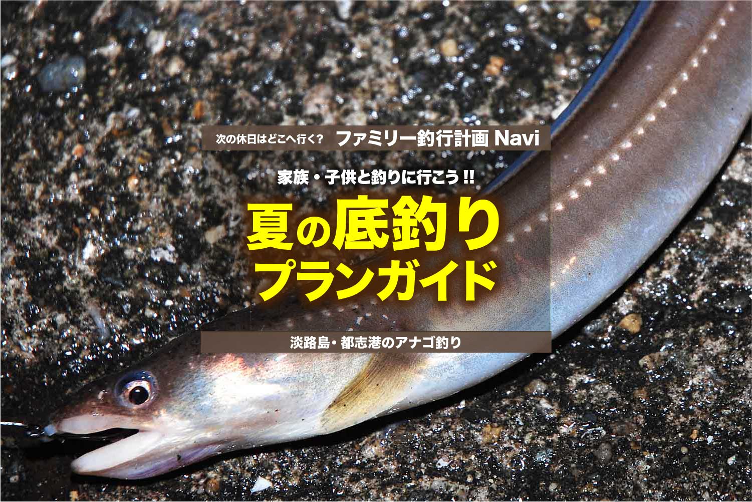 おいしいアナゴに要注目 家族 子供と釣りに行こう 夏の底釣りプラン 関西のつりweb 釣りの総合情報メディアmeme