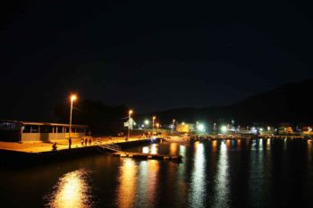 フィールドガイド　小島漁港