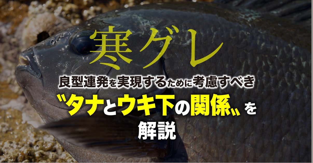 寒グレ】良型連発を実現するために考慮すべき〝タナとウキ下の関係〟を解説 | 関西のつりweb | 釣りの総合情報メディアMeME