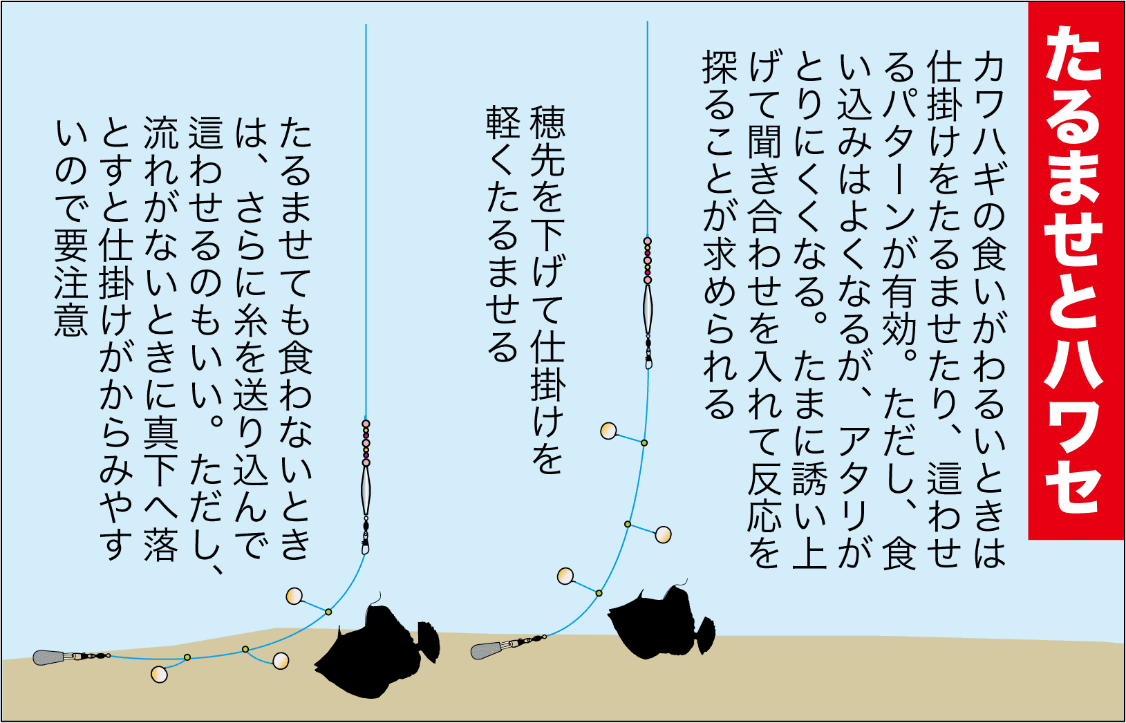 穏やかな湾内のカセなら釣果確約 キモパンのカワハギ狙いが楽しい 関西のつりweb 釣りの総合情報メディアmeme