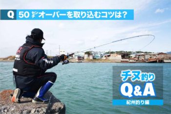 チヌ 紀州釣りの悩みを解決 50 オーバーを取り込むコツを教えて下さい 関西のつりweb 釣りの総合情報メディアmeme