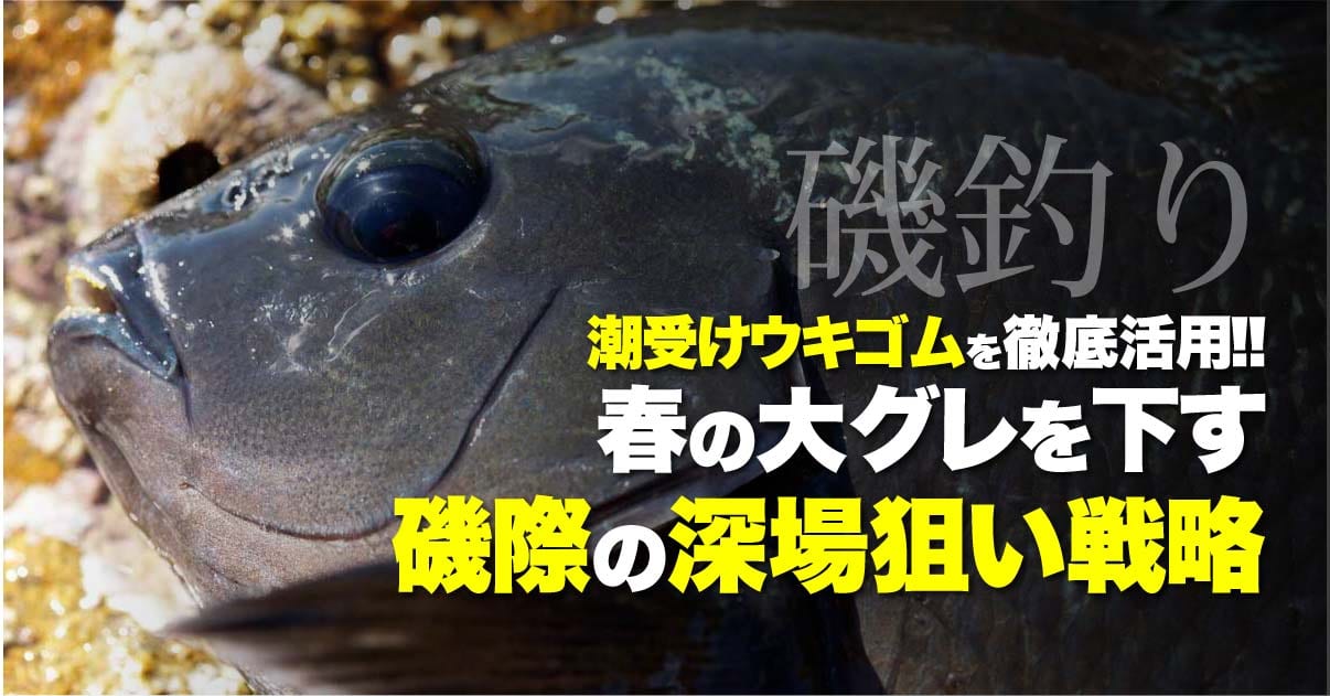 潮受けウキゴムを徹底活用 春の大グレを下す磯際の深場狙い戦略 関西のつりweb 釣りの総合情報メディアmeme