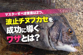 マスターすべき要素は２つ 波止チヌフカセを成功に導くワザとは 関西のつりweb 釣りの総合情報メディアmeme