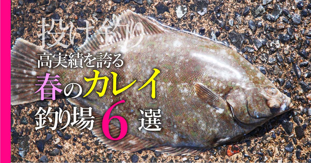 投げ釣り 高実績を誇る春のカレイ釣り場６選 関西のつりweb 釣りの総合情報メディアmeme