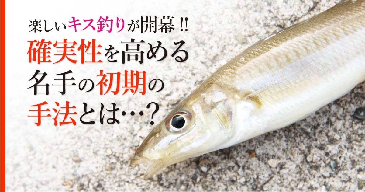 楽しいキス釣りが開幕 確実性を高める名手の初期の手法とは 関西のつりweb 釣りの総合情報メディアmeme