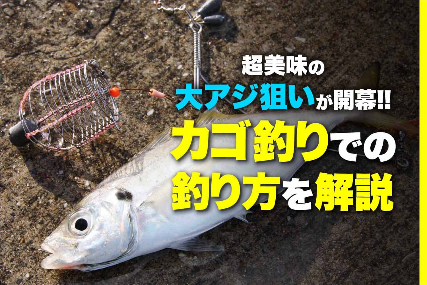 超美味の大アジ狙いが開幕!! カゴ釣りでの釣り方を解説 - Ooajikago 01