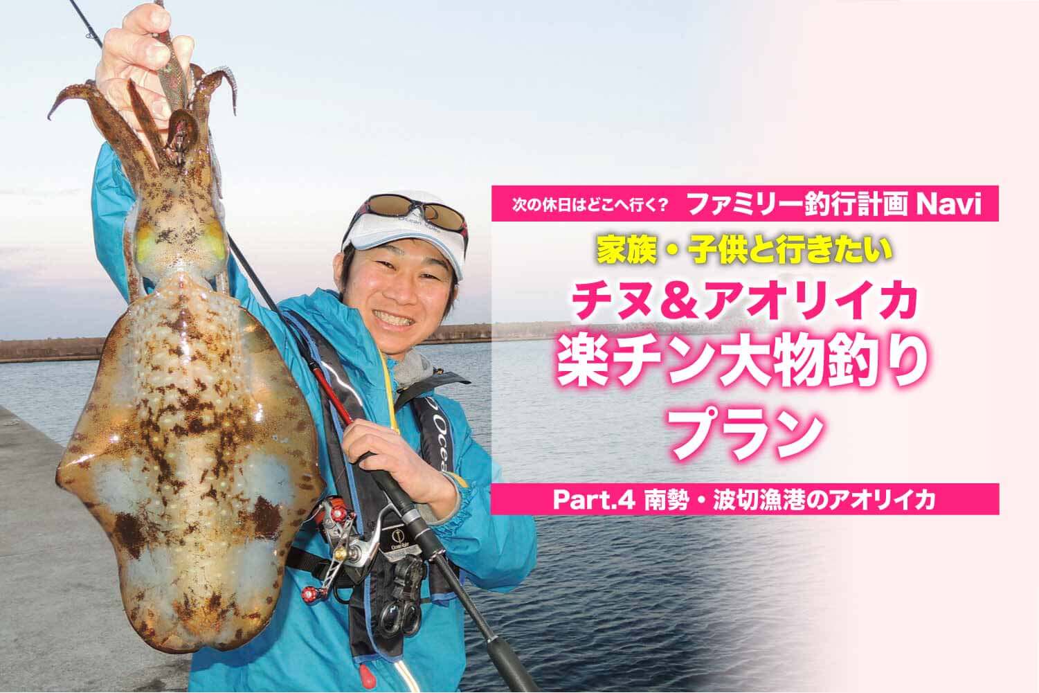 関西 イカ 釣り