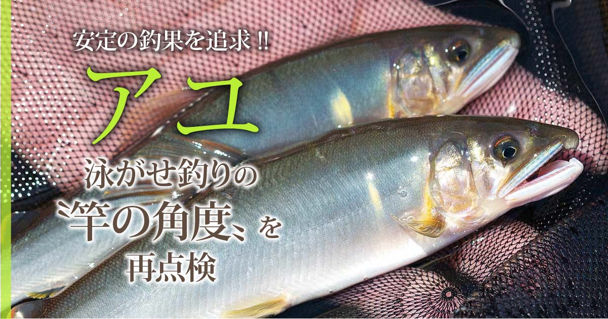 安定の釣果を追求 アユ 泳がせ釣りの 竿の角度 を再点検 関西のつりweb 釣りの総合情報メディアmeme