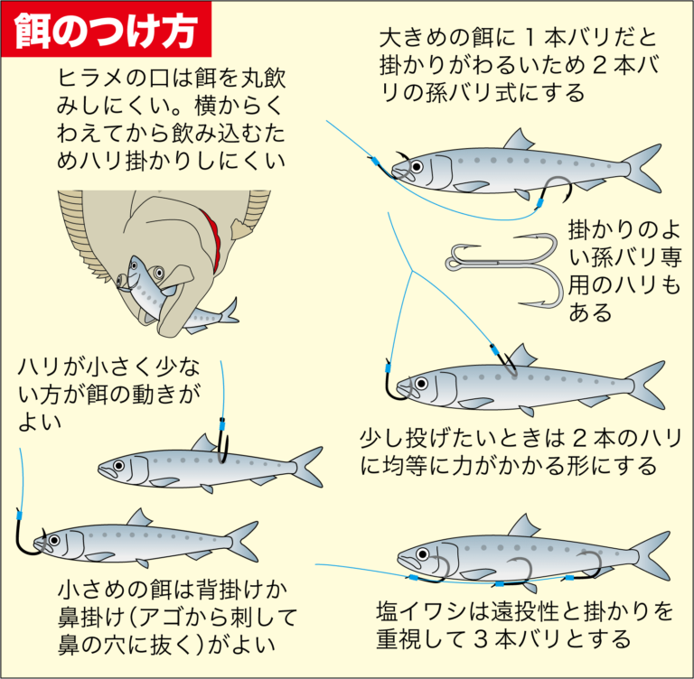 【実釣マニュアル】ヒラメの釣り方 - Hirame Turikata016 768x752