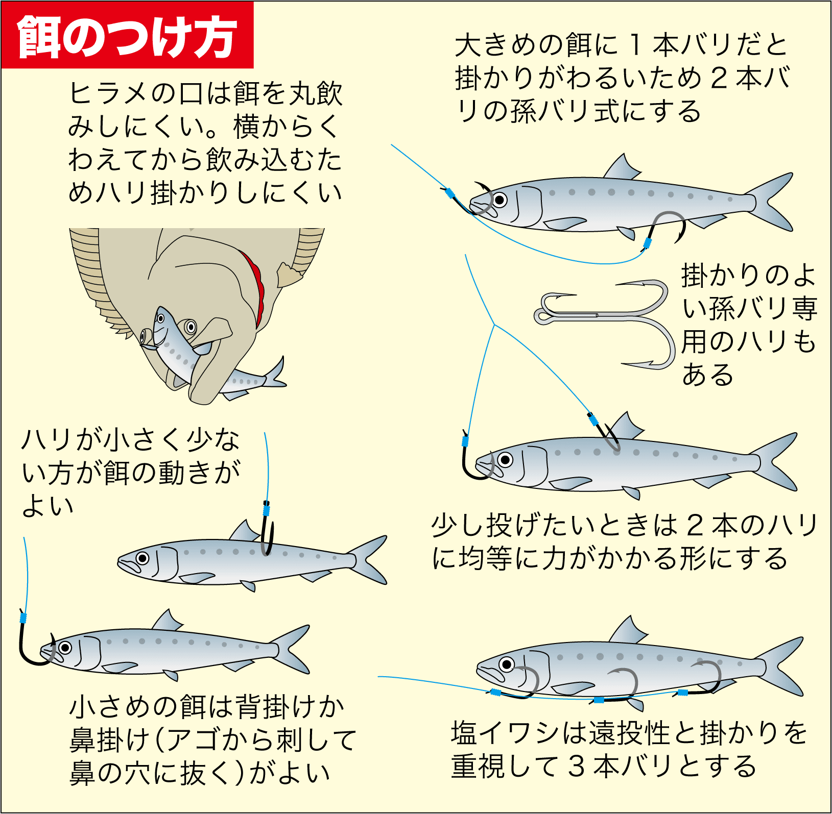 【実釣マニュアル】ヒラメの釣り方 - Hirame Turikata016
