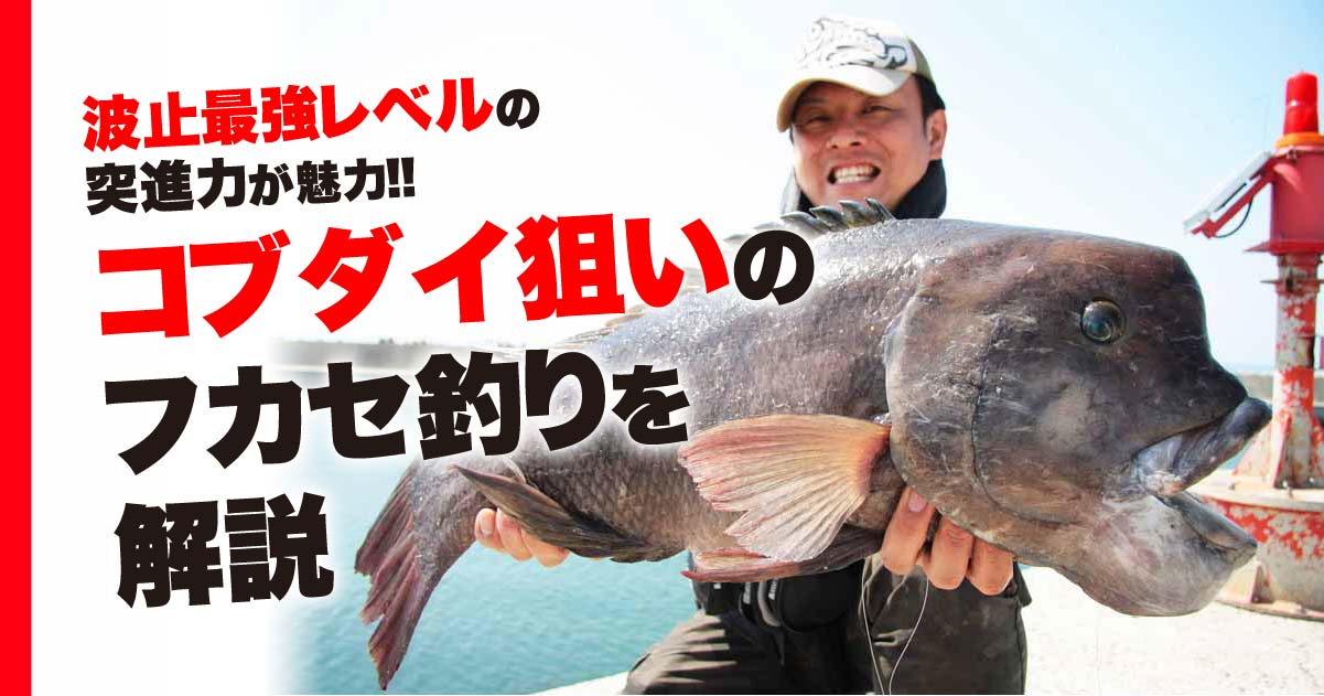 波止最強レベルの突進力が魅力!! コブダイ狙いのフカセ釣りを