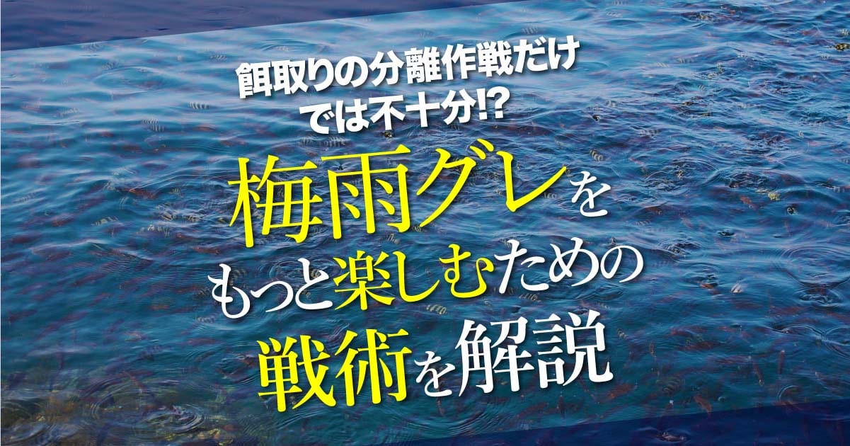 餌取りの分離作戦だけでは不十分 梅雨グレをもっと楽しむための戦術を解説 関西のつりweb 釣りの総合情報メディアmeme