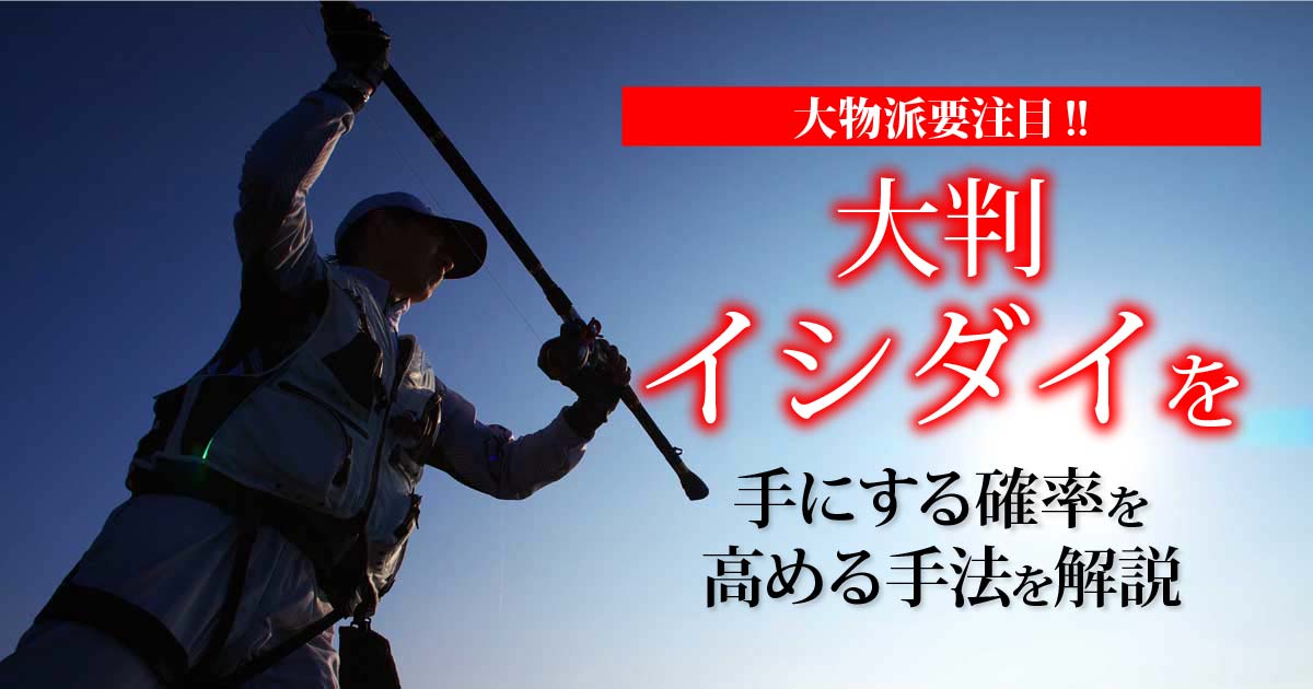 大物派要注目 大判イシダイを手にする確率を高める手法を解説 関西のつりweb 釣りの総合情報メディアmeme