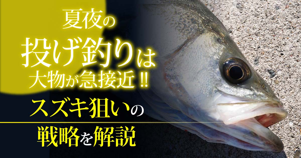 夏夜の投げ釣りは大物が急接近 スズキ狙いの戦略を解説 関西のつりweb 釣りの総合情報メディアmeme