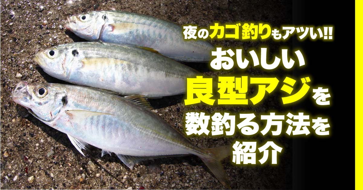 夜のカゴ釣りもアツい おいしい良型アジを数釣る方法を紹介 関西のつりweb 釣りの総合情報メディアmeme