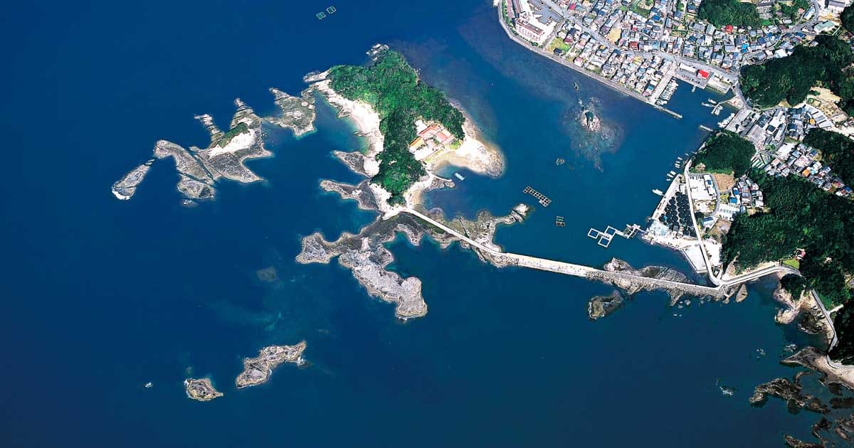 フィールドガイド 田辺・元島周辺