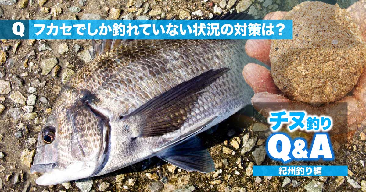 チヌ・紀州釣りの悩みを解決!!｜フカセでしか釣れていない状況の