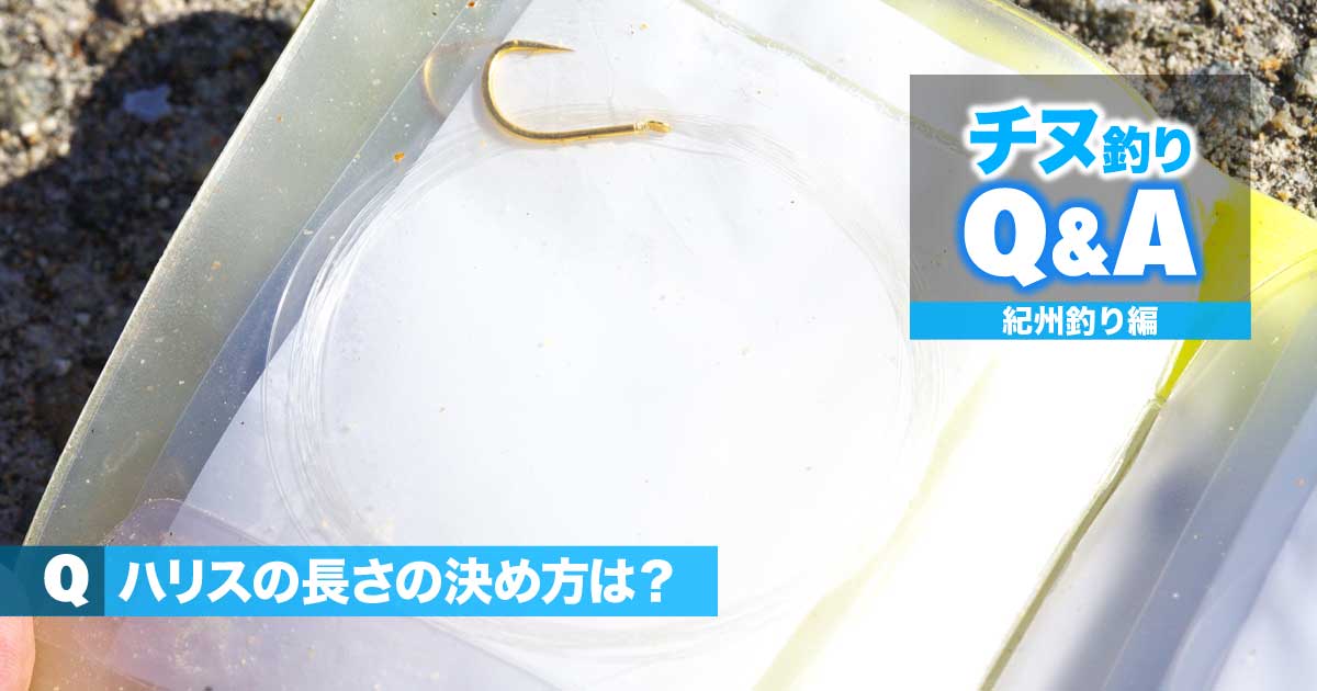 チヌ 紀州釣りの悩みを解決 ハリスの長さの決め方は 関西のつりweb 釣りの総合情報メディアmeme