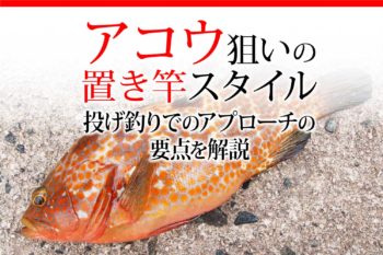 アコウ狙いの置き竿スタイル 投げ釣りでのアプローチの要点を解説 関西のつりweb 釣りの総合情報メディアmeme