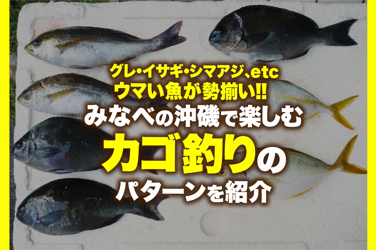 ウマい魚が勢揃い みなべの沖磯で楽しむカゴ釣りのパターンを紹介 関西のつりweb 釣りの総合情報メディアmeme