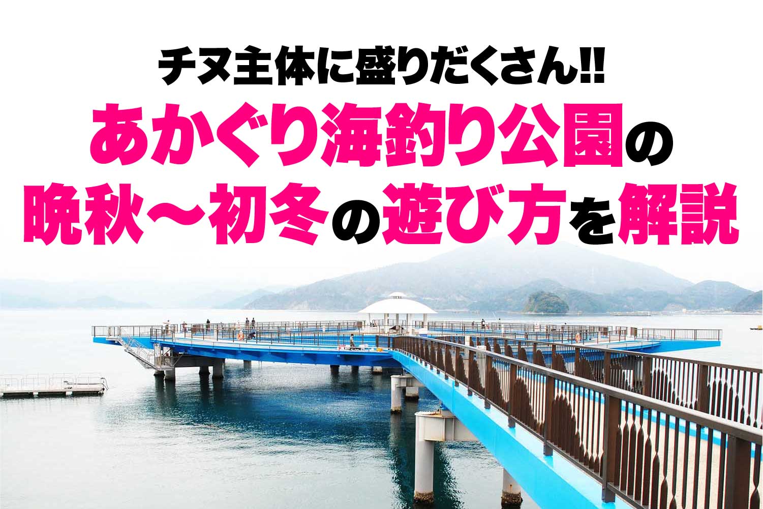 チヌ主体に盛りだくさん あかぐり海釣り公園の晩秋 初冬の遊び方を解説 関西のつりweb 釣りの総合情報メディアmeme