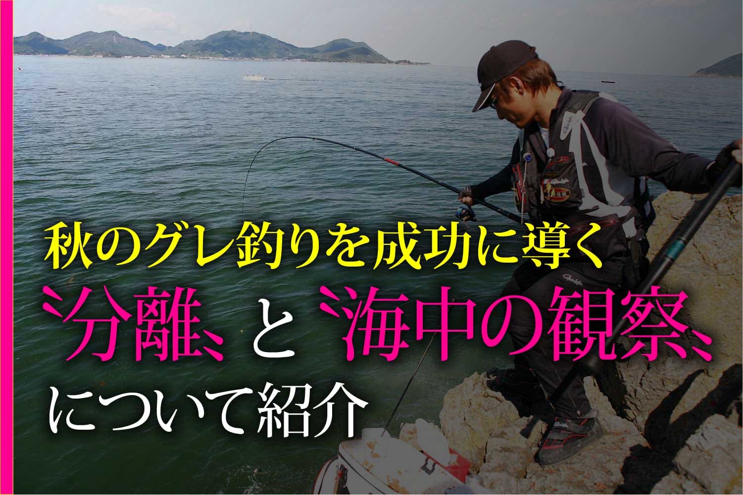 秋のグレ釣りを成功に導く 分離 と 海中の観察 について紹介 関西のつりweb 釣りの総合情報メディアmeme