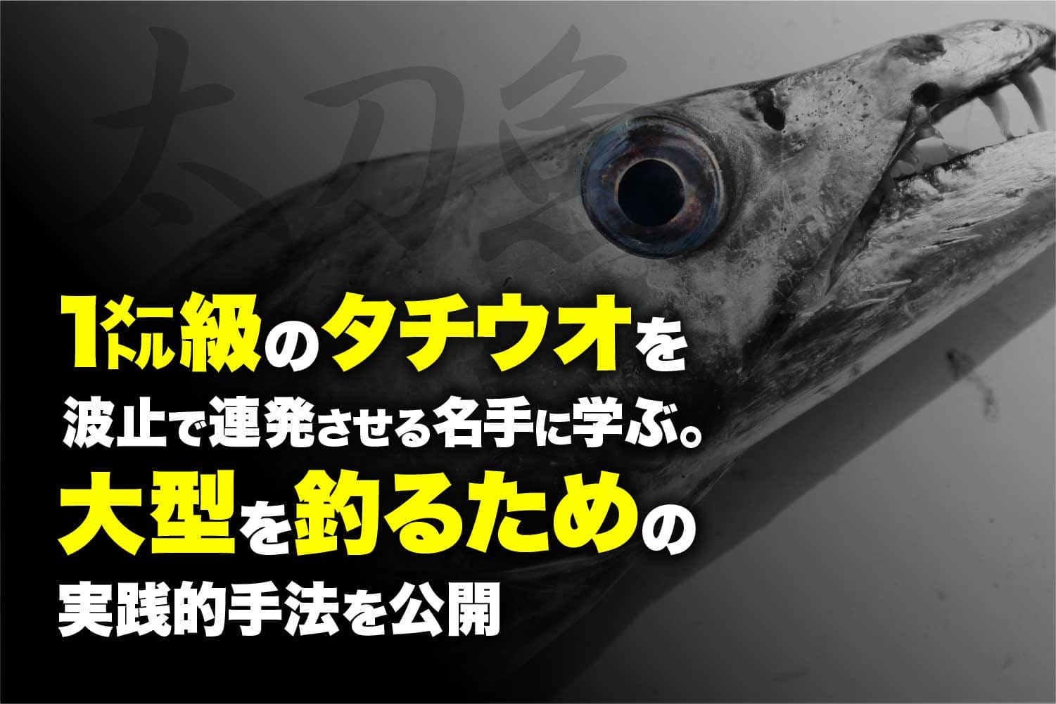 1 級のタチウオを波止で連発させる名手に学ぶ 大型を釣るための実践的手法を公開 関西のつりweb 釣りの総合情報メディアmeme