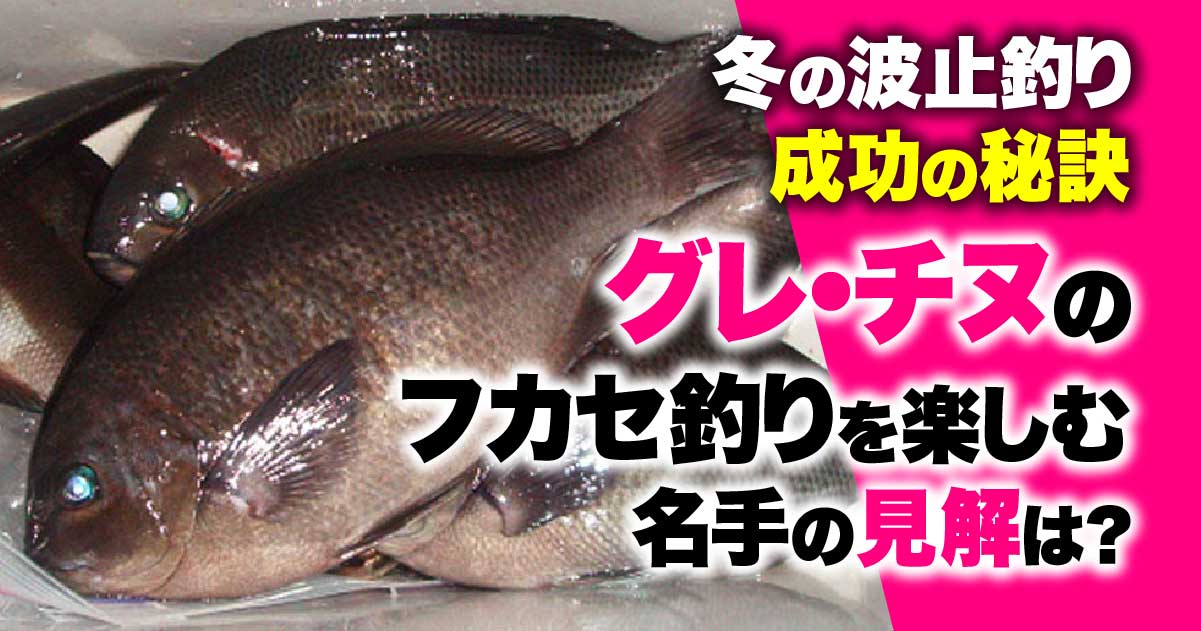 冬の波止釣り成功の秘訣 グレ チヌのフカセ釣りを楽しむ名手の見解は 関西のつりweb 釣りの総合情報メディアmeme