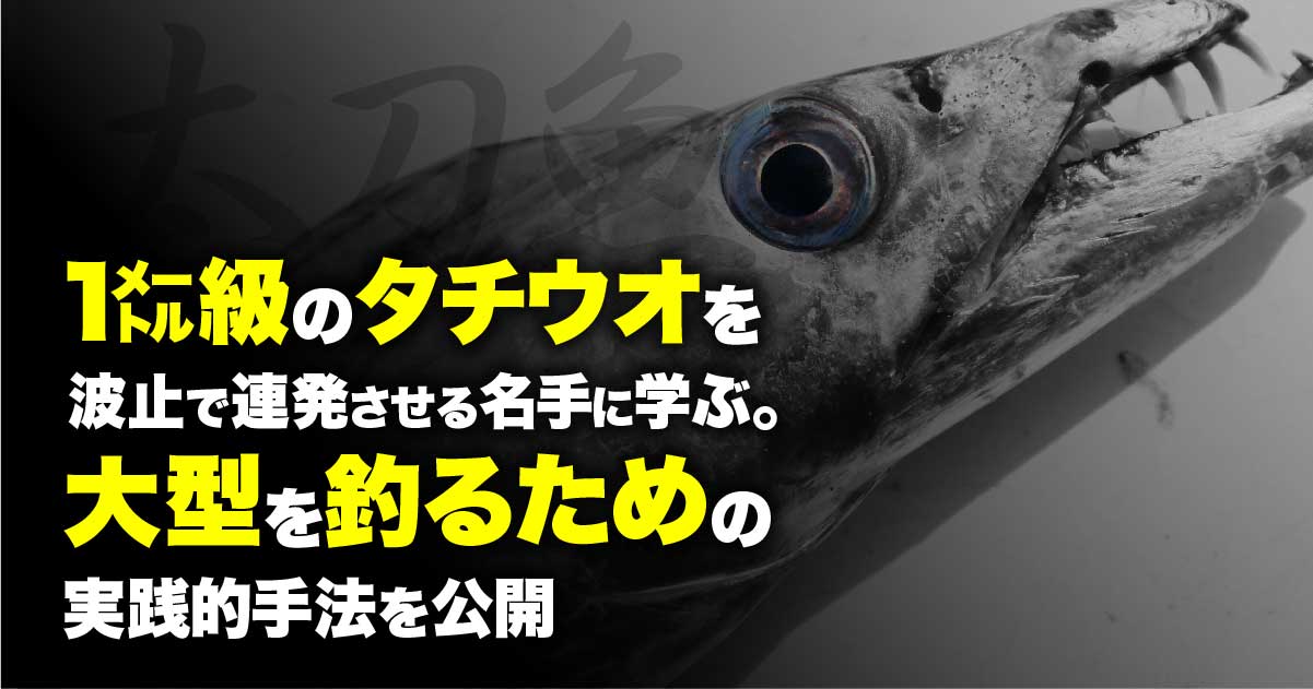 1㍍級のタチウオを波止で連発させる名手に学ぶ｡大型を釣るための実践的手法を公開 | 関西のつりweb | 釣りの総合情報メディアMeME