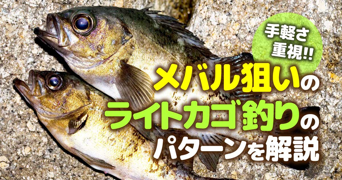 手軽さ重視 メバル狙いのライトカゴ釣りのパターンを解説 関西のつりweb 釣りの総合情報メディアmeme