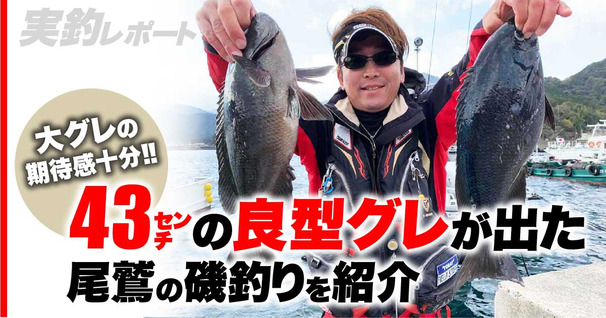 大グレの期待感十分 43 の良型グレが出た尾鷲の釣りを紹介 関西のつりweb 釣りの総合情報メディアmeme