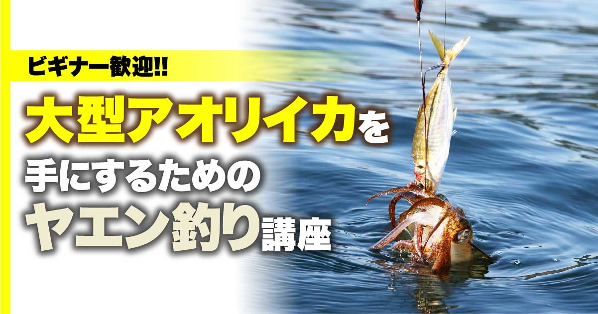 ヤエン釣り始めよう】【サブ機欲しいな】と言う方必見？！ 難かっ