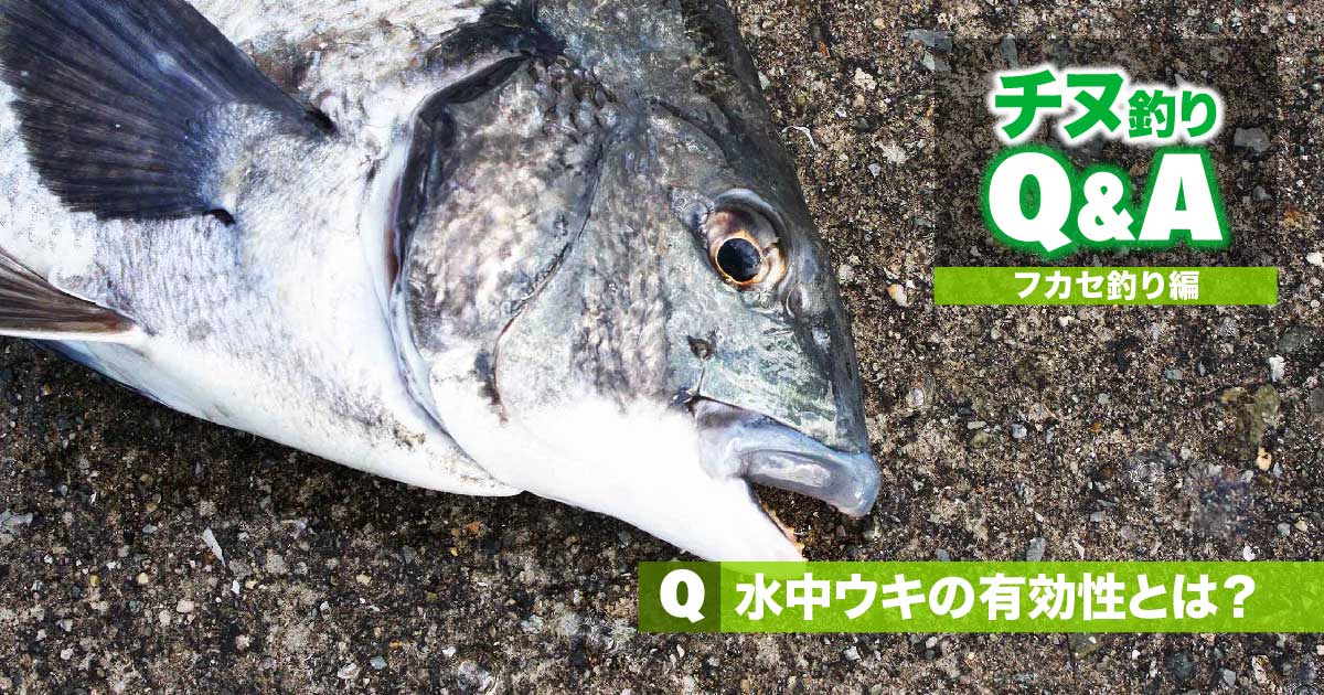 チヌ フカセ釣りの悩みを解消 水中ウキの有効性とは 関西のつりweb 釣りの総合情報メディアmeme