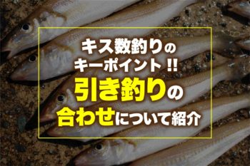 キス数釣りのキーポイント 引き釣りの合わせについて紹介 関西のつりweb 釣りの総合情報メディアmeme