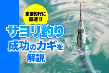 家族釣行に最適 サヨリ釣り成功のカギを解説 関西のつりweb 釣りの総合情報メディアmeme