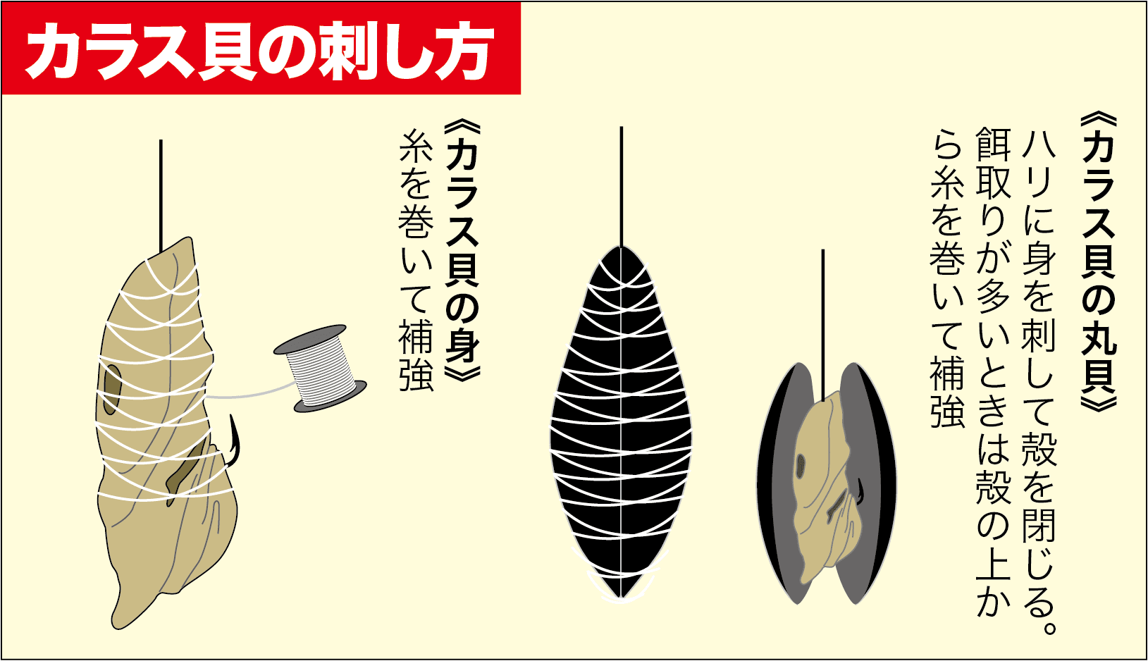 黒鯛用 餌巻き糸 エサ巻き糸
